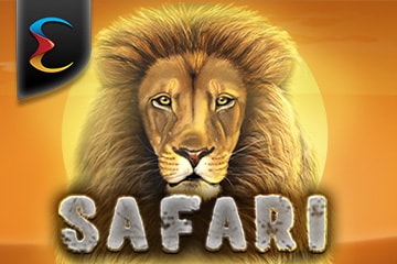 Safari